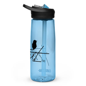 Sports water bottle