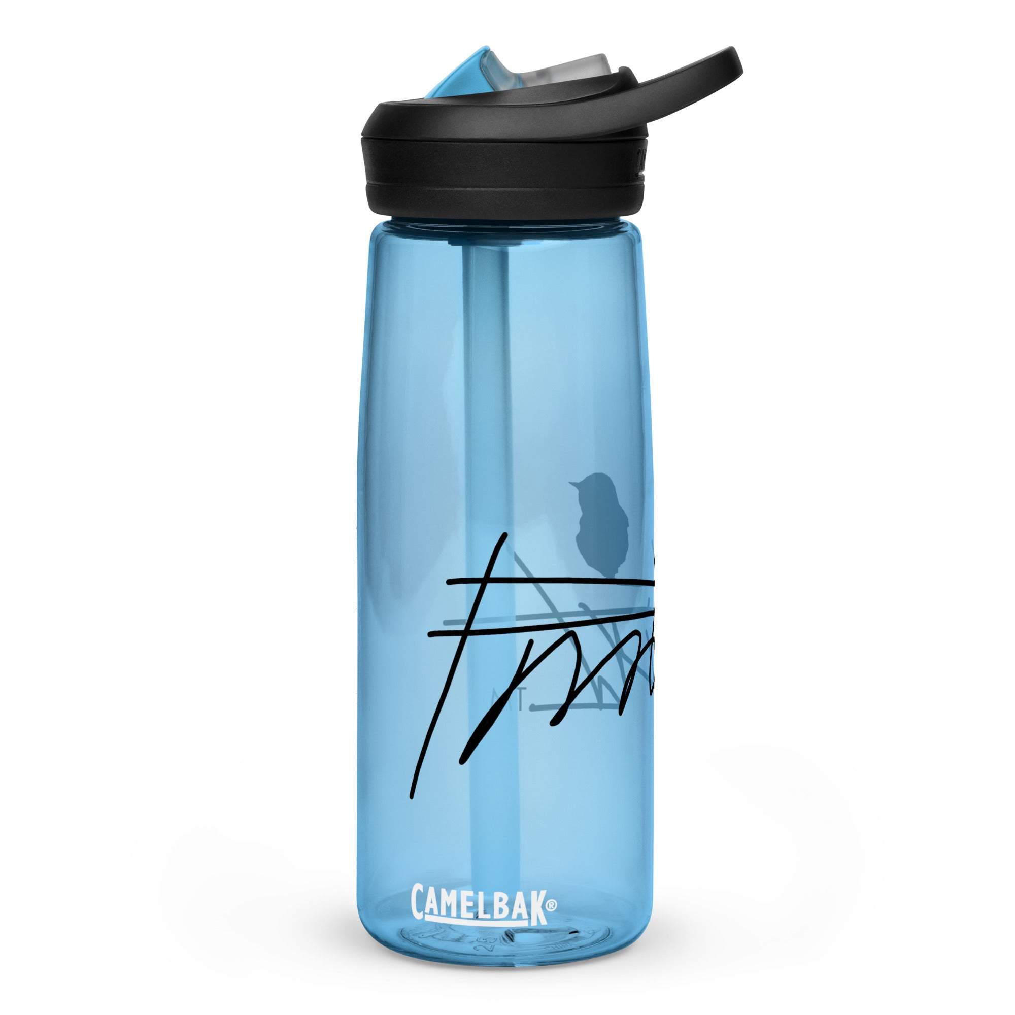 Sports water bottle