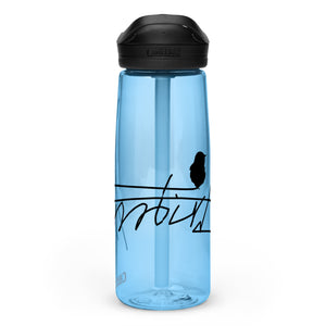 Sports water bottle