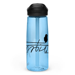 Sports water bottle