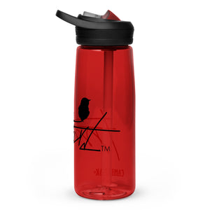 Sports water bottle