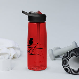 Sports water bottle