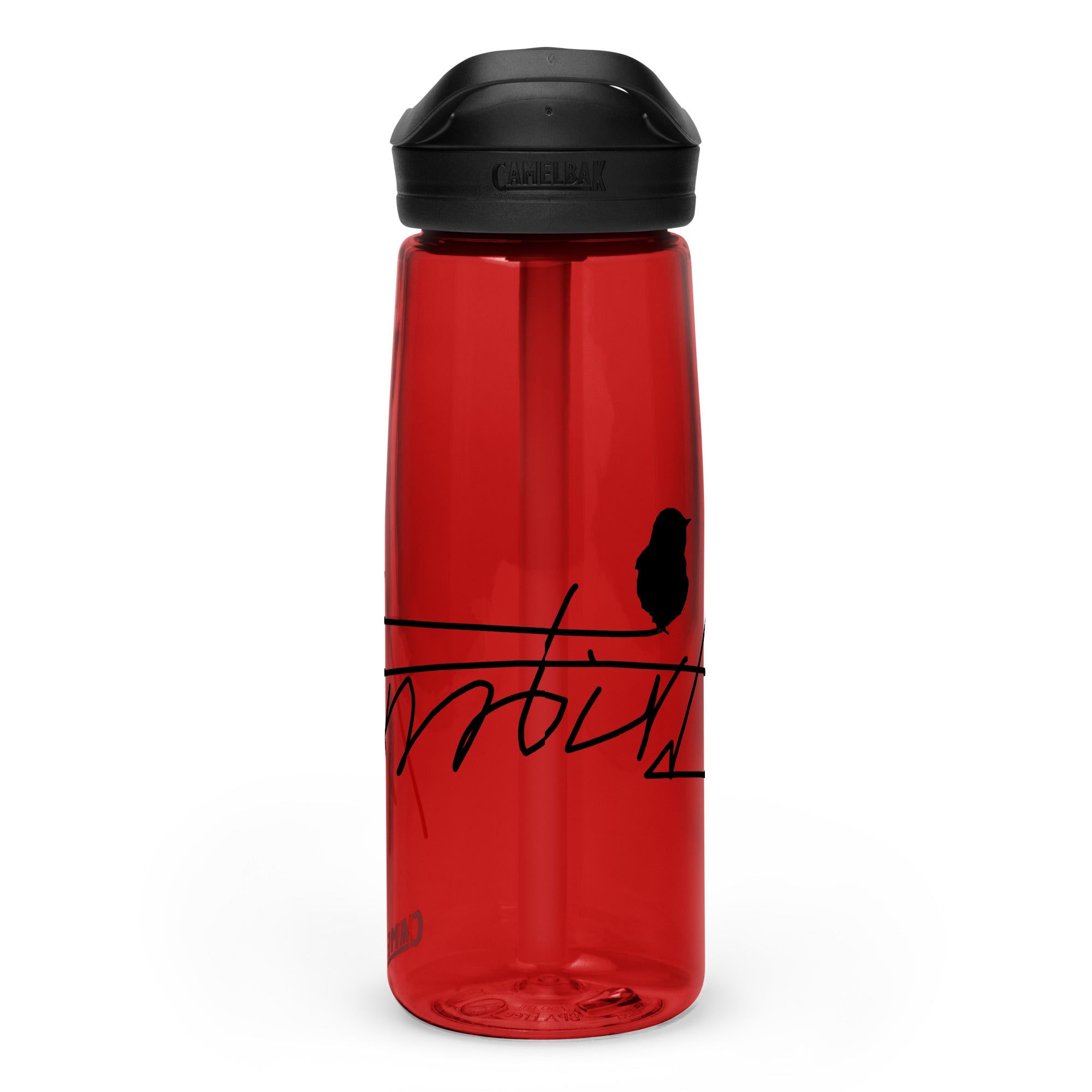 Sports water bottle