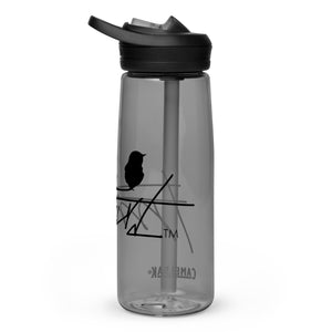 Sports water bottle