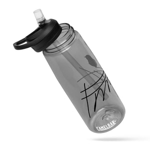 Sports water bottle