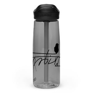 Sports water bottle