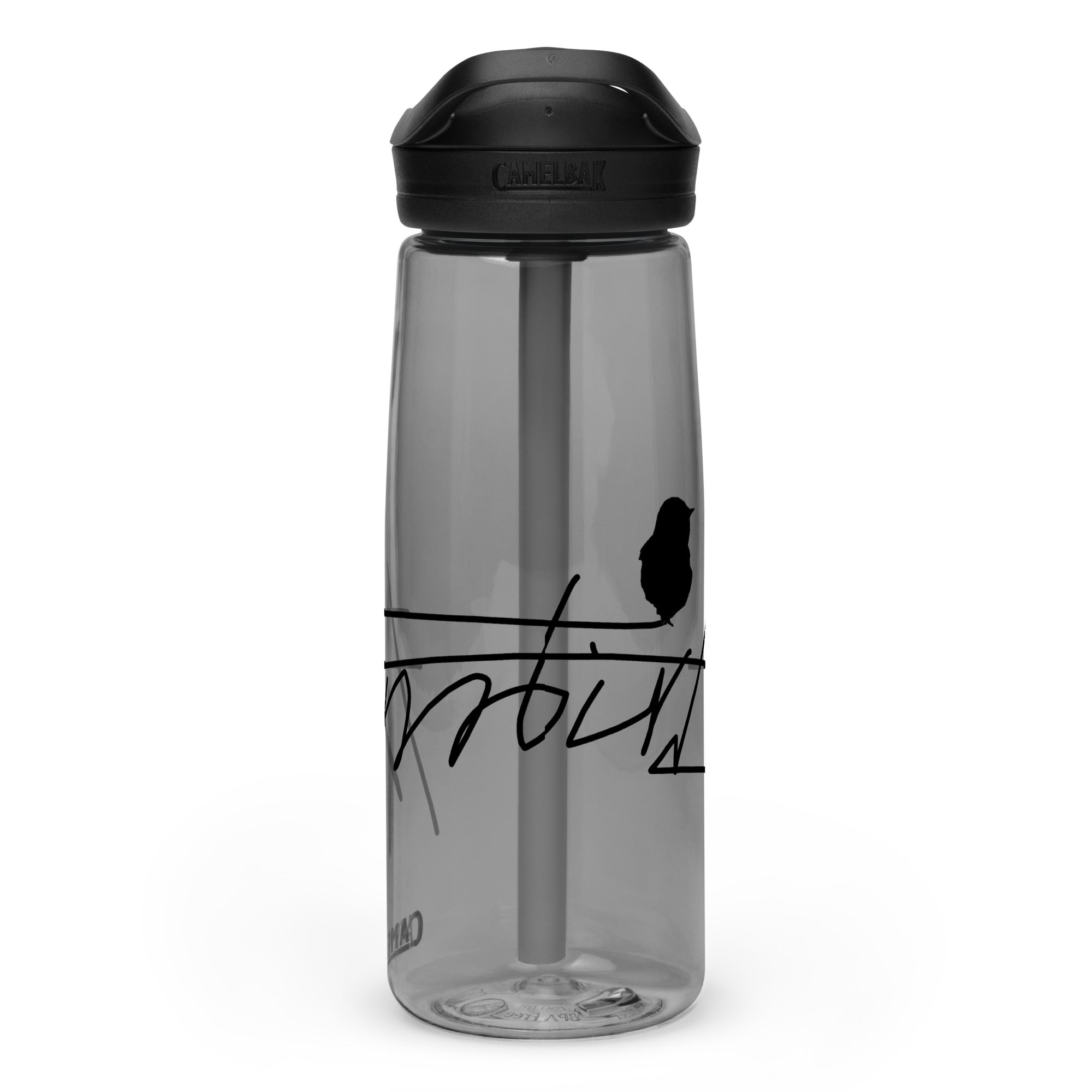 Sports water bottle