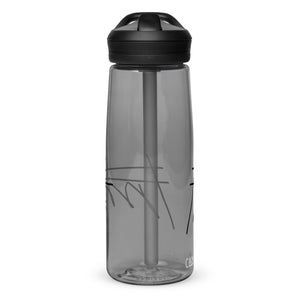 Sports water bottle