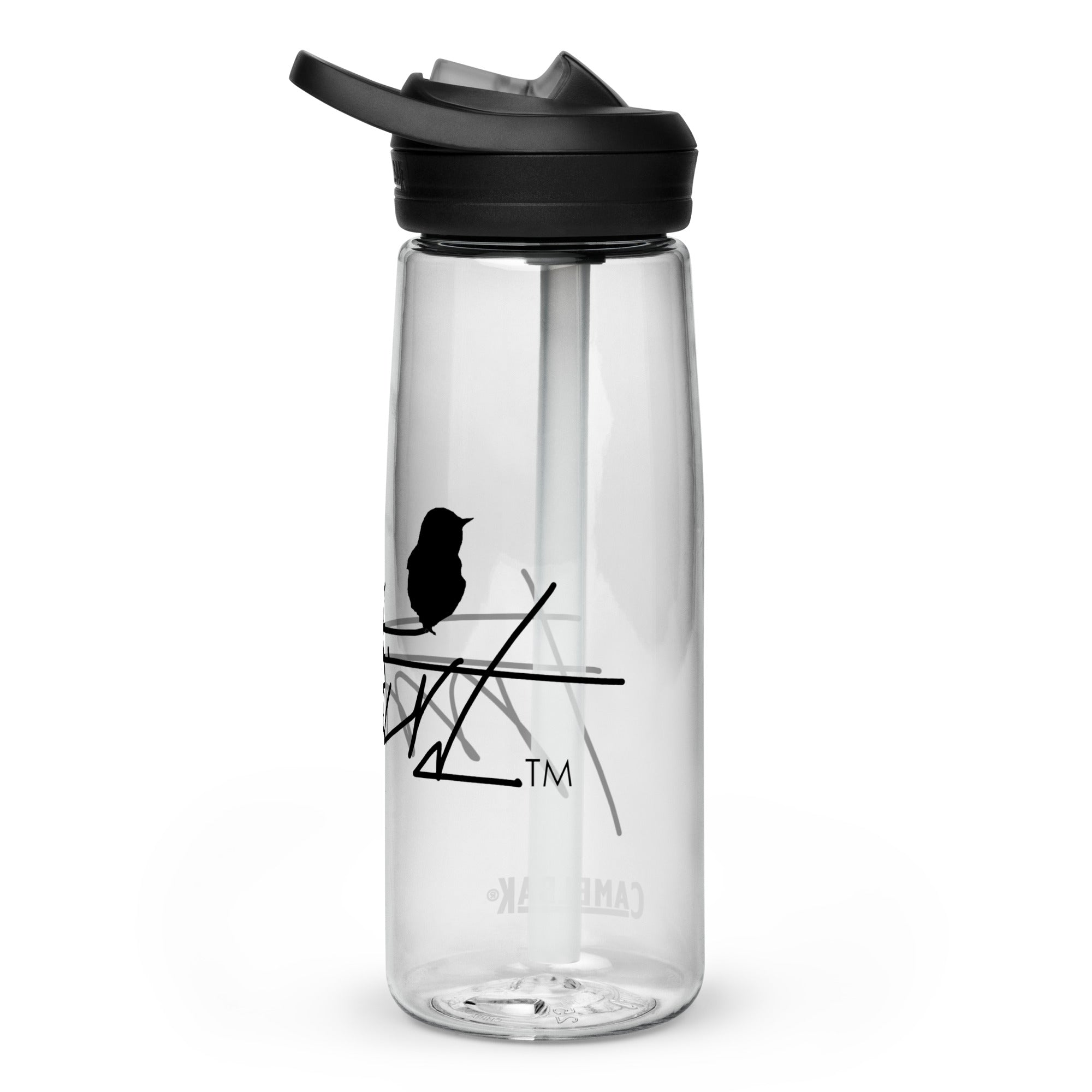 Sports water bottle