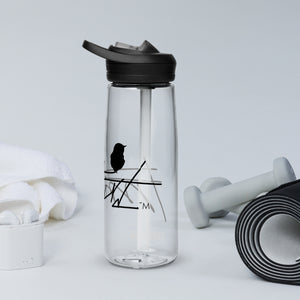 Sports water bottle