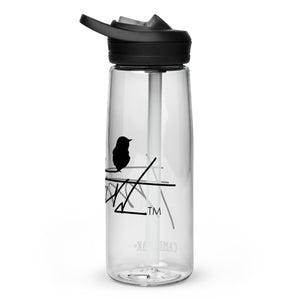 Sports water bottle