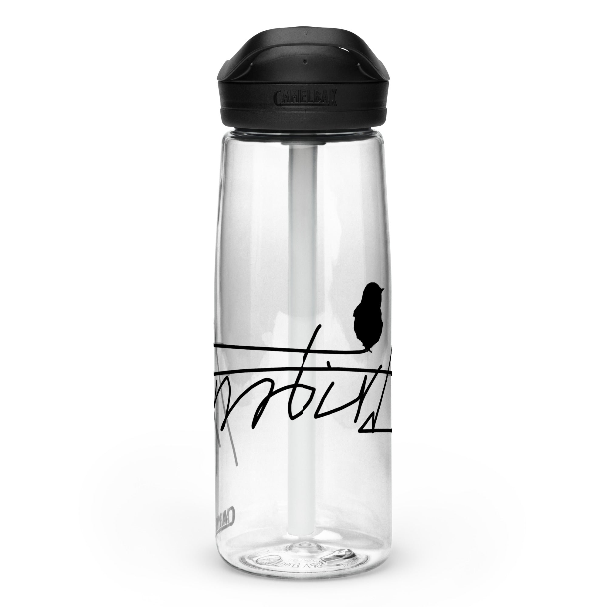 Sports water bottle