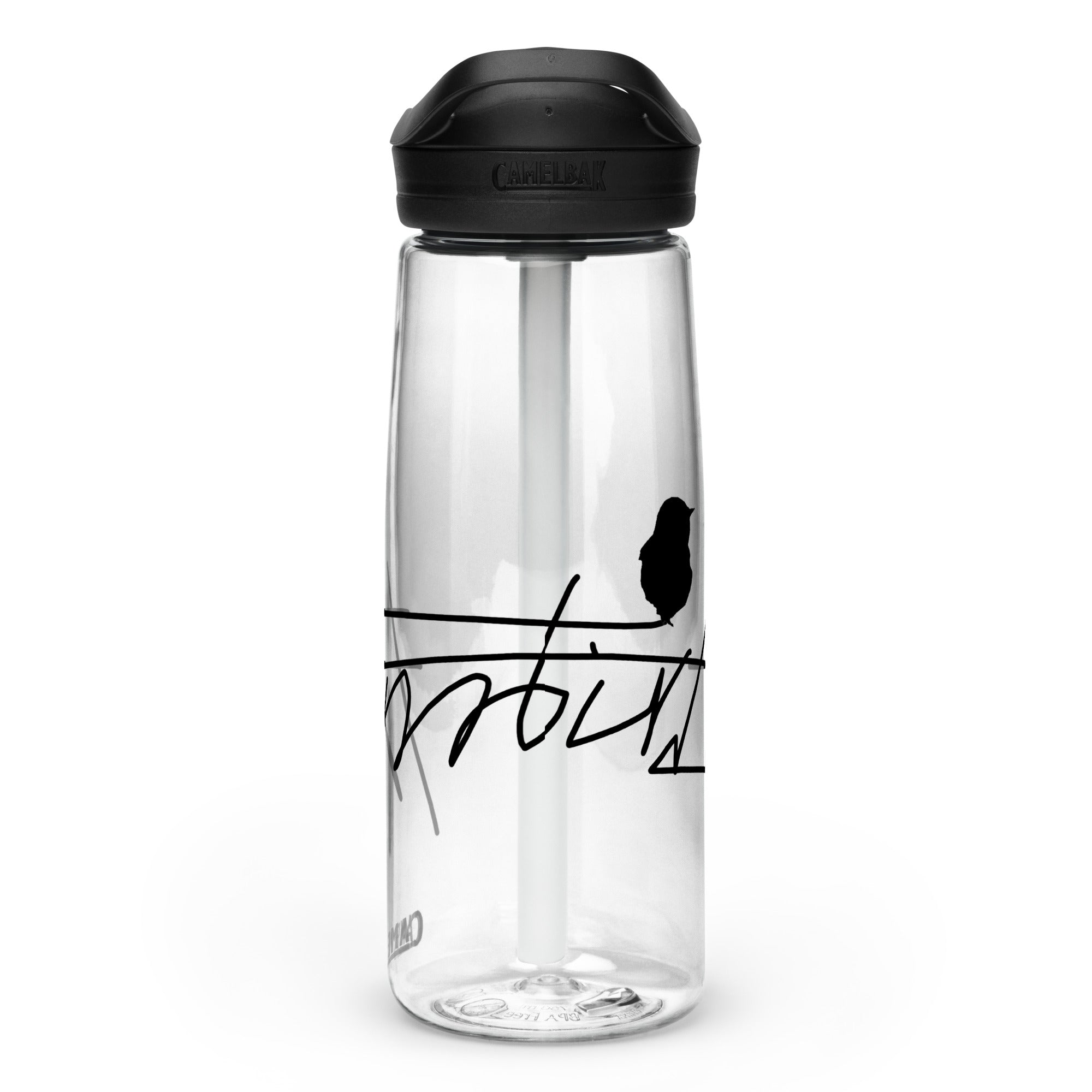 Sports water bottle