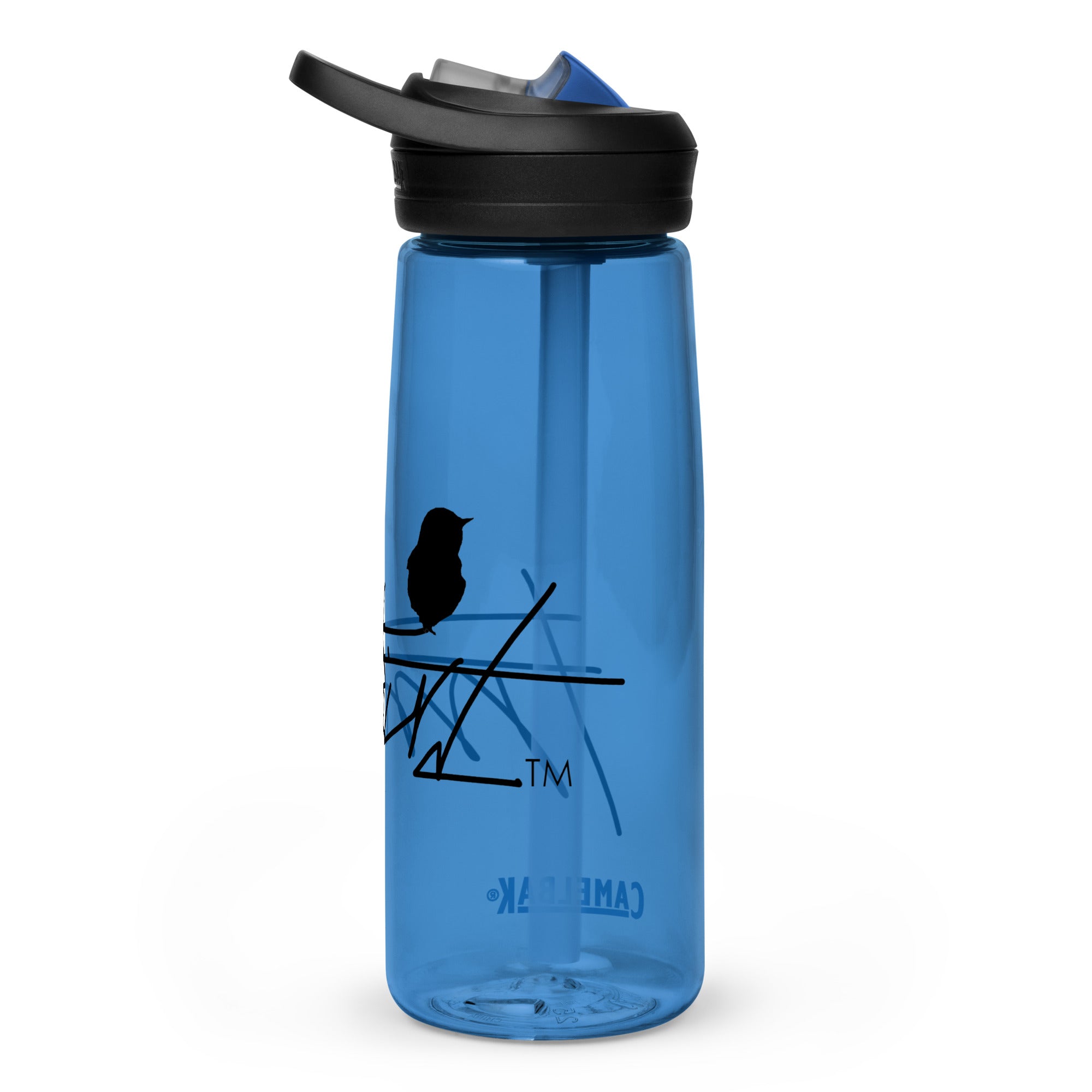 Sports water bottle