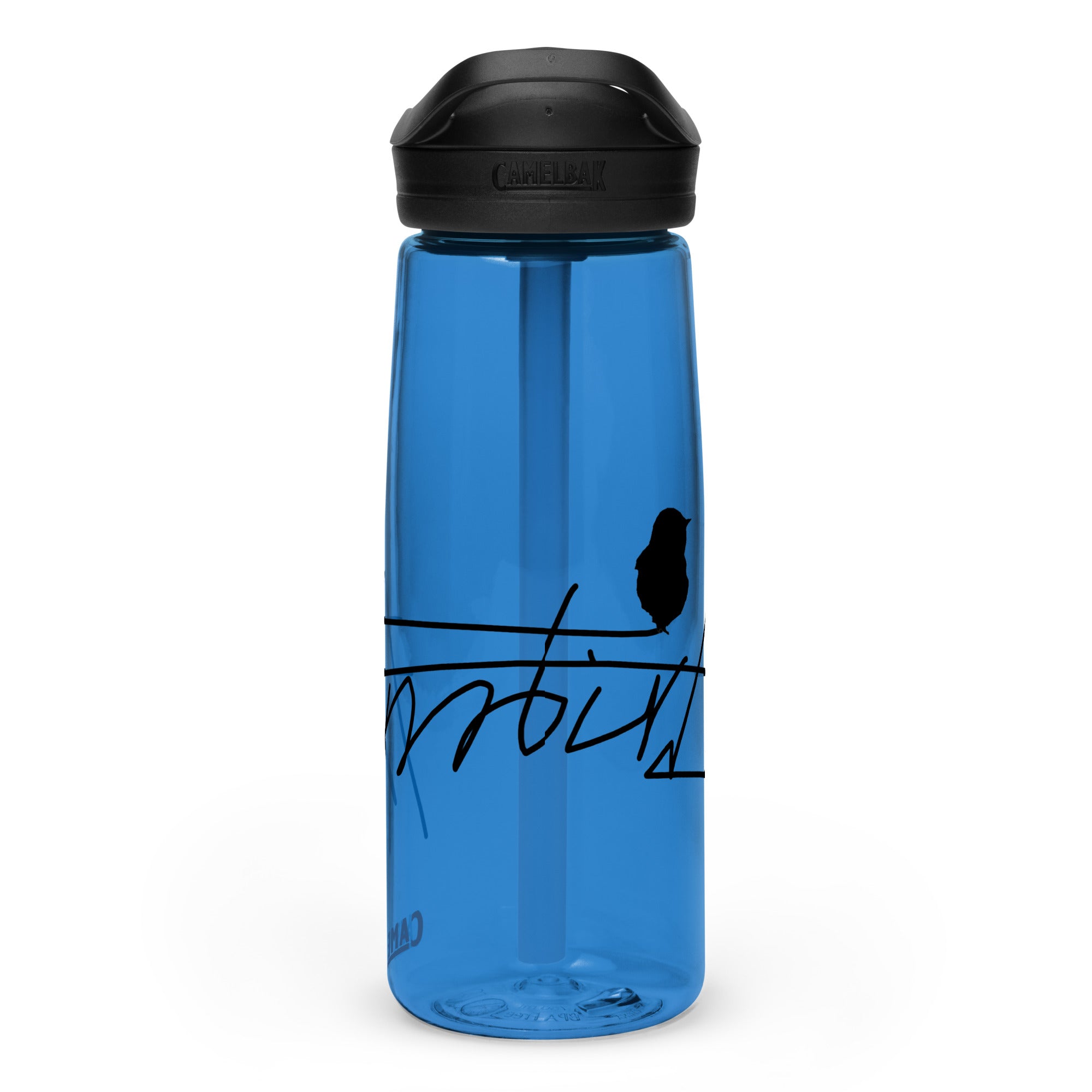 Sports water bottle