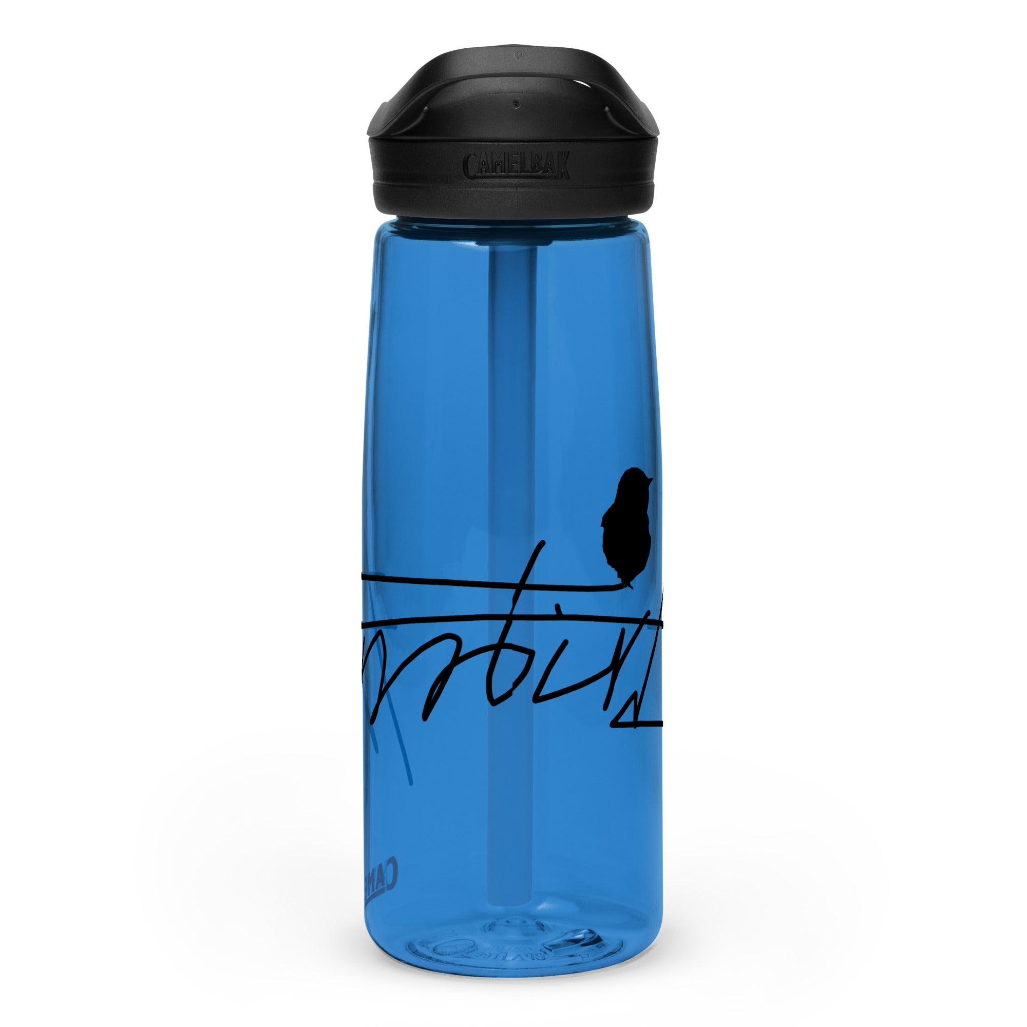 Sports water bottle