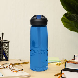 Sports water bottle