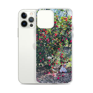 impression spring-iPhone Case